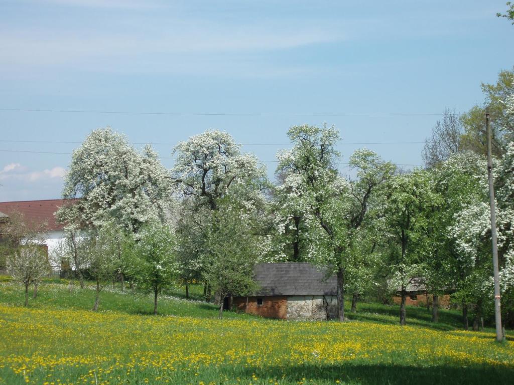 Hotel Gasthof Zur Linde Neuhofen an der Ybbs Exterior foto