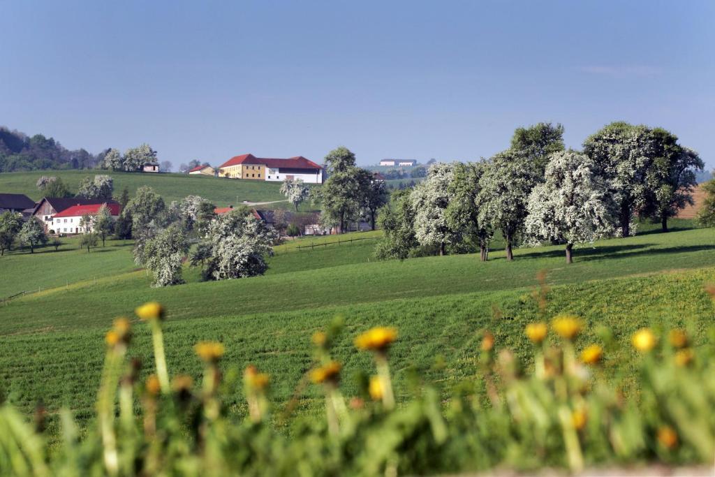 Hotel Gasthof Zur Linde Neuhofen an der Ybbs Exterior foto